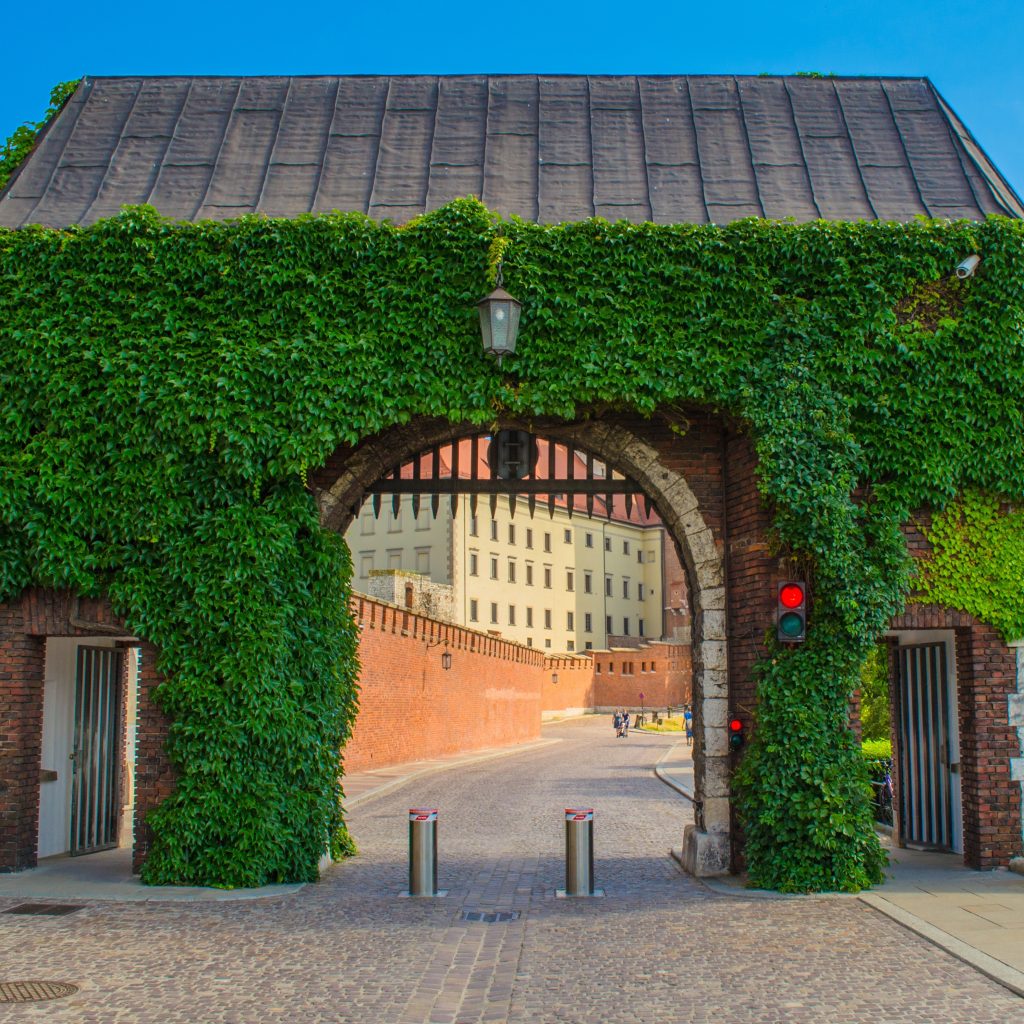 roman_polyanyk-wawel-1665086